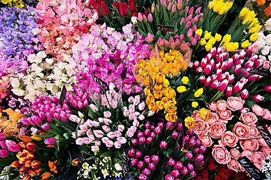 顽皮狗：将游戏带到PC是一个关键且变革性的时刻